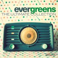 Виниловая пластинка VARIOUS ARTISTS / EVERGREENS - THE ULTIMATE COLLECTION (1LP)